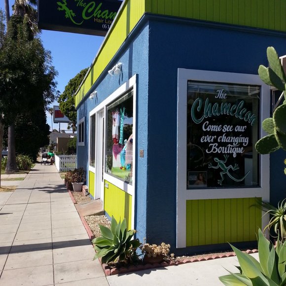 Meet your Posher, Yvette - Picture 2 of 3